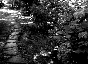 DSC_4044.NEF