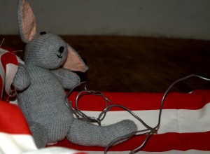 DSC_4107.NEF