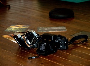 DSC_4109.NEF