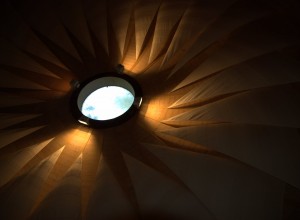 DSC_3875