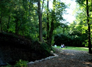 DSC_3900.NEF