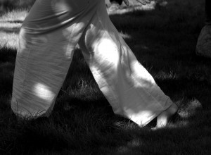 DSC_3948.NEF