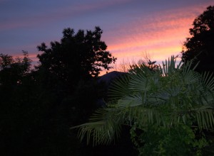 DSC_3357