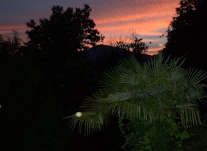 DSC_3358