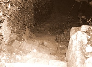 DSC_3367