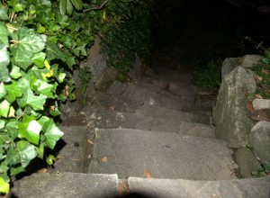 DSC_3369