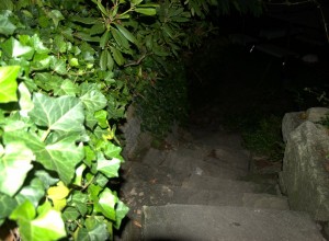 DSC_3370