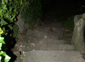 DSC_3371