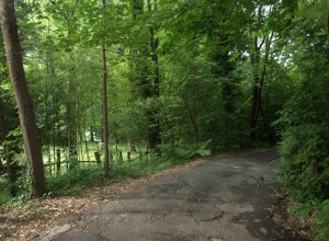 DSC_3434