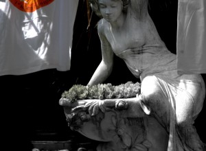 DSC_3509(1)
