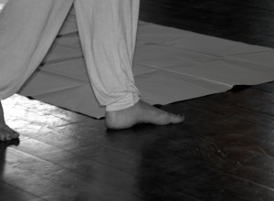 DSC_4518.NEF