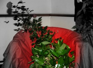 DSC_4852.NEF