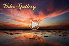 video-clip-gallery